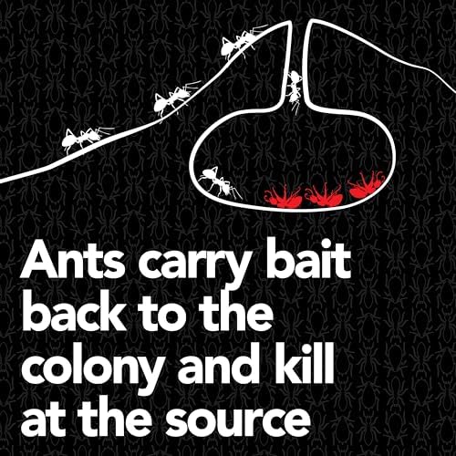 Raid Max Liquid Ant Bait; Kills Ants Where They Breed, for Indoor and Outdoor Use; 12 Bait Stations - Image 6